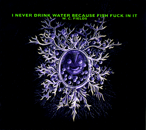 cd inside cover